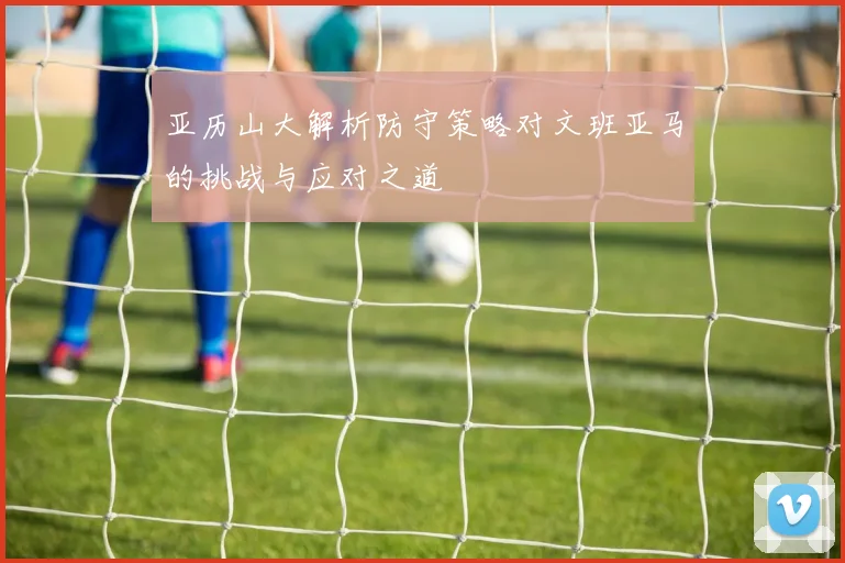 亚历山大解析防守策略对文班亚马的挑战与应对之道